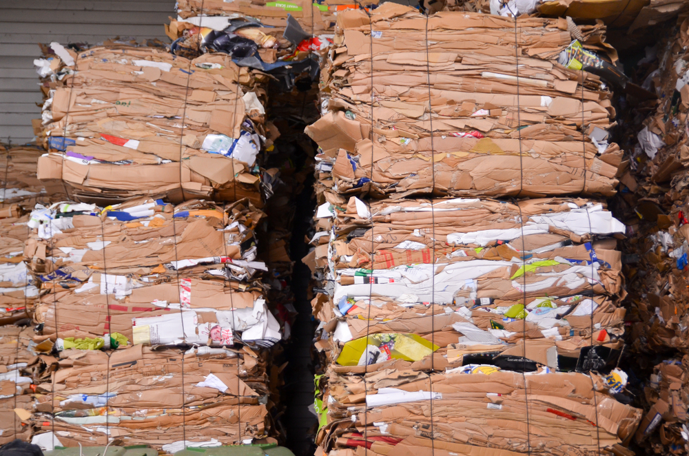 Bales of Cardboard Ready for Recycling